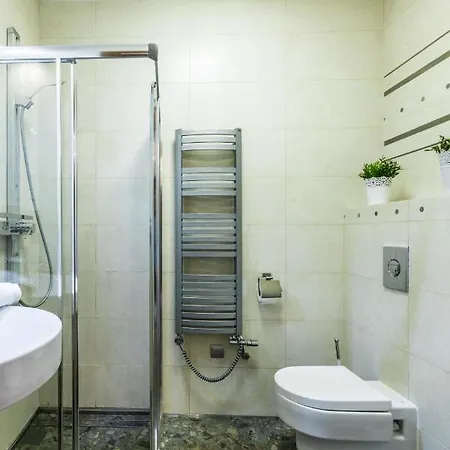 Apartment Srebrzysty Tatary Zakopane