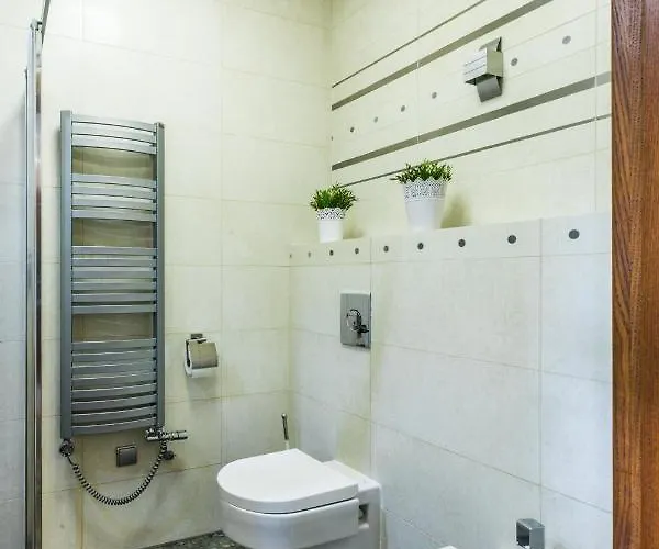 Srebrzysty Tatary Zakopane