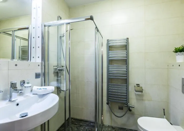 Srebrzysty Tatary * Zakopane